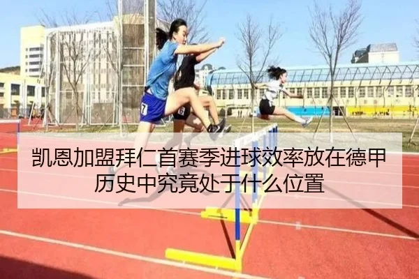img_1780778045968_664_1_474.jpg