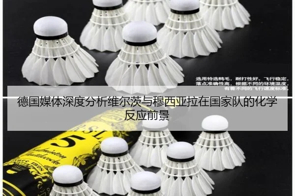 德国媒体深度分析维尔茨与穆西亚拉在国家队的化学反应前景（kaiyun）